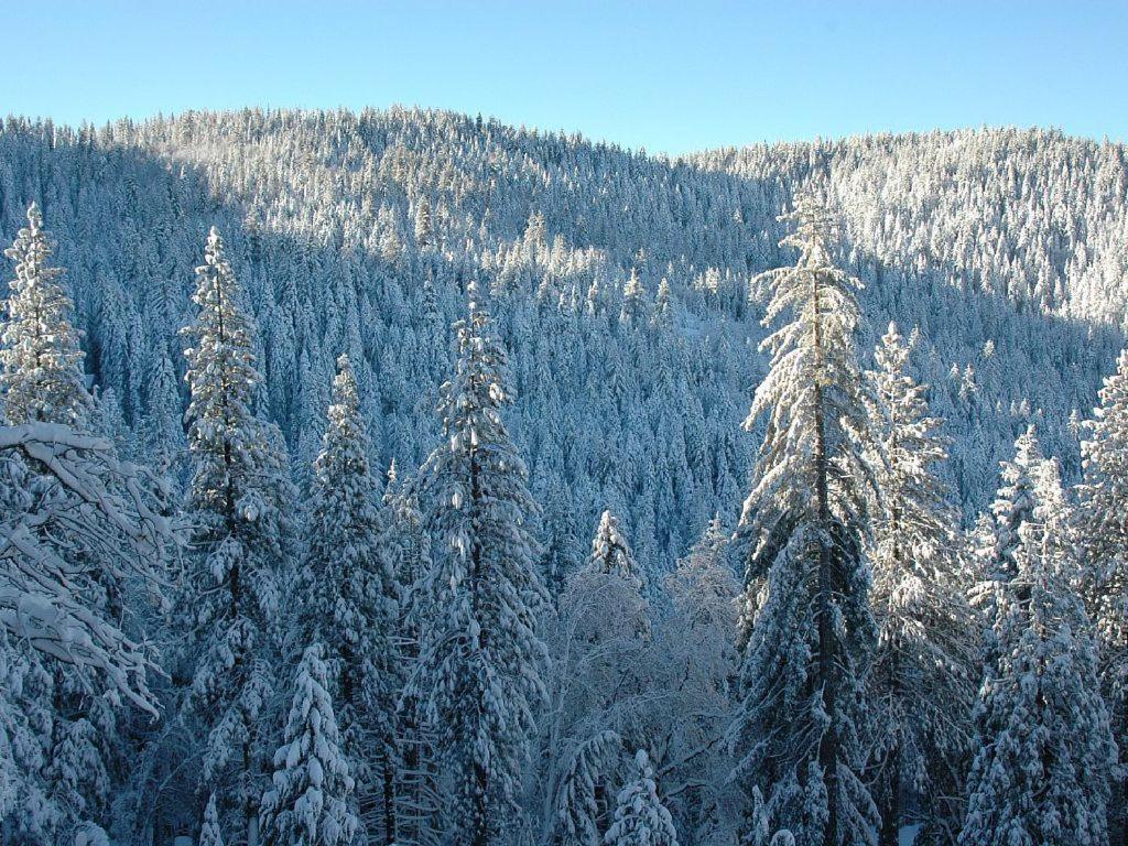 Willa Birds Eye Vista Yosemite West Zewnętrze zdjęcie